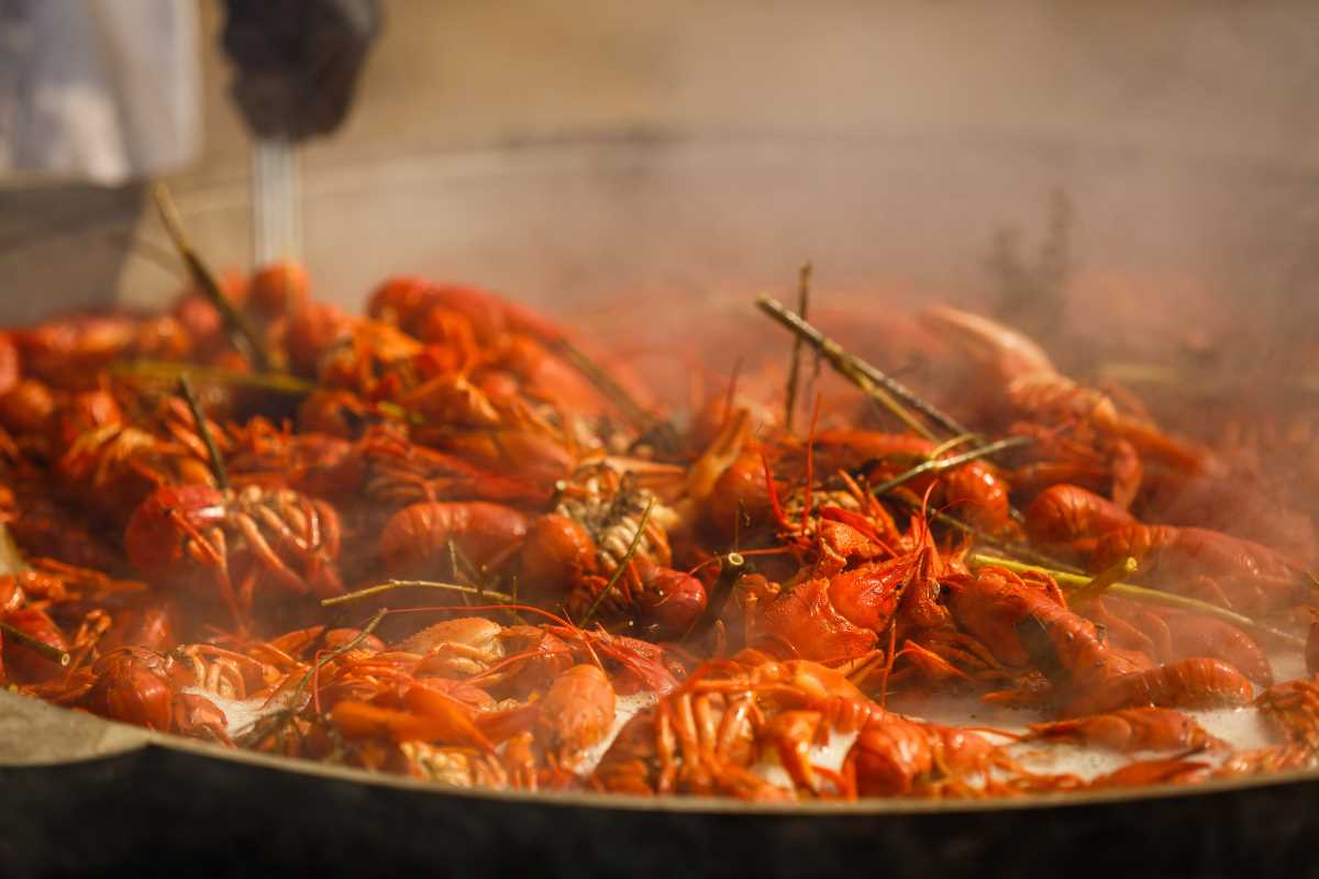 How to Choose Sustainable Seafood for a Greener Dinner Table