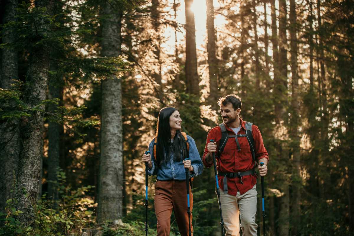 Discover the Finest Hiking Trails that Minimize Environmental Impact