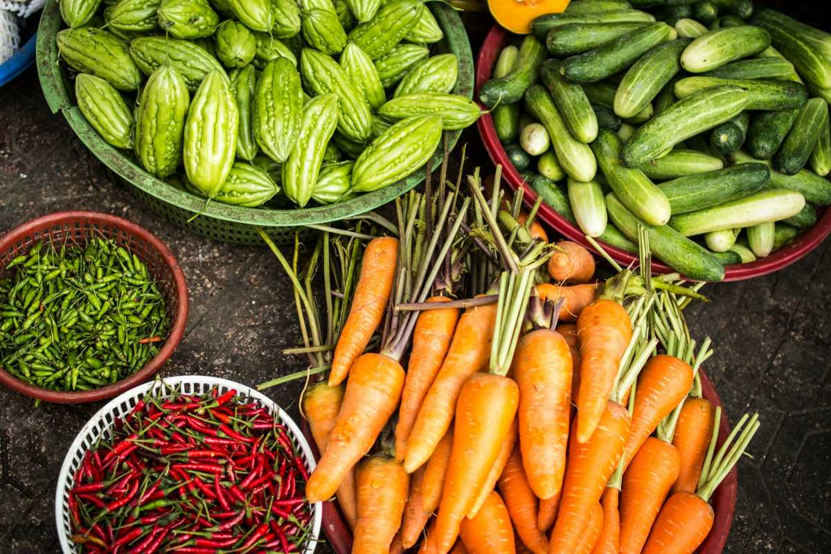 7 Organic Farming Secrets to Maximize Urban Plots
