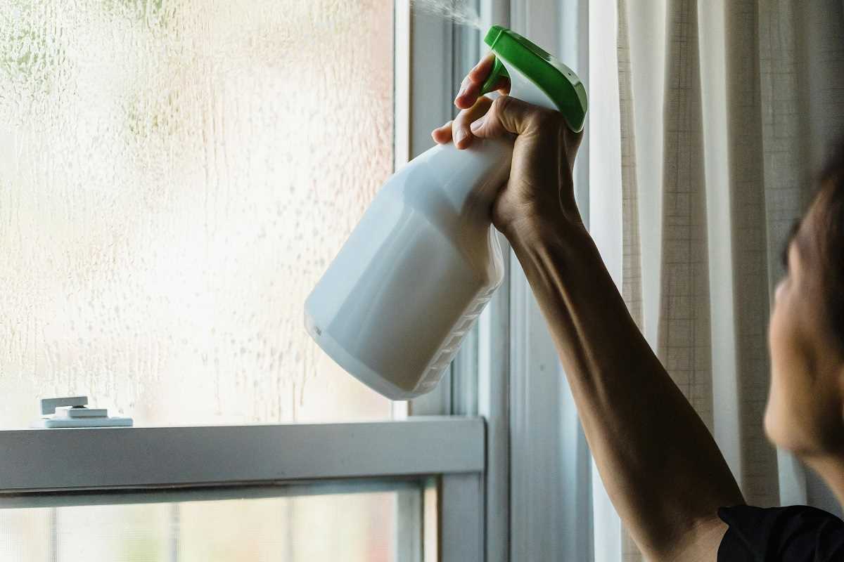 Biodegradable Cleaners Made from Kitchen Scraps for the Home